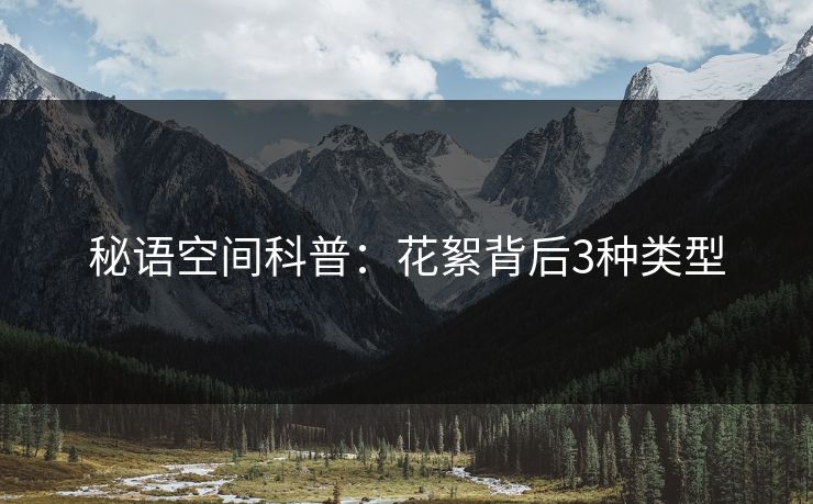 秘语空间科普：花絮背后3种类型