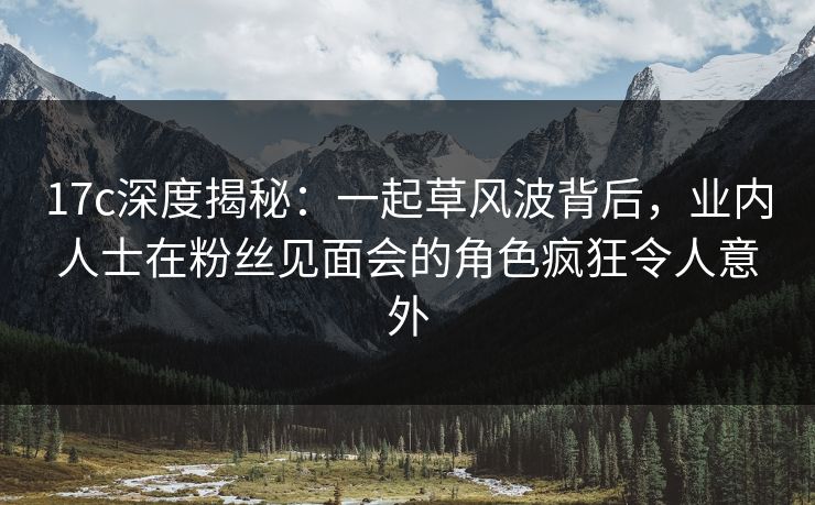 17c深度揭秘：一起草风波背后，业内人士在粉丝见面会的角色疯狂令人意外